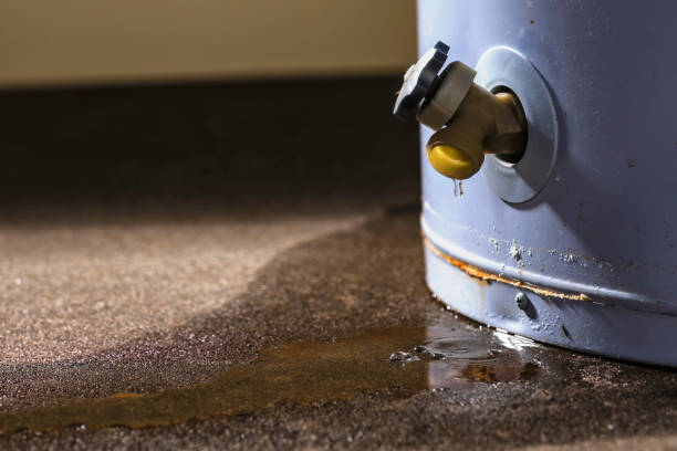 Best Local water damage restoration  in South Miami, FL