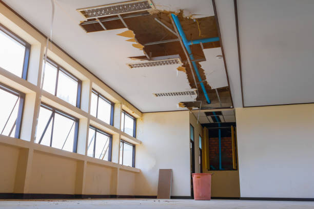 Best Residential water damage restoration  in South Miami, FL