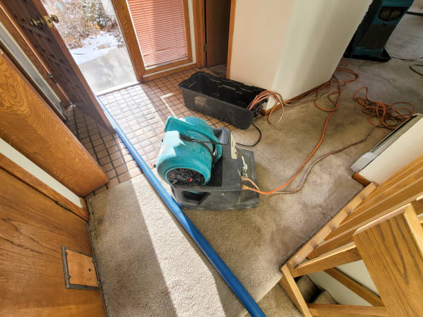 Best Sewage cleanup and water damage restoration  in South Miami, FL