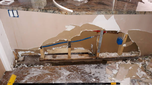 Best Water damage restoration near me  in South Miami, FL