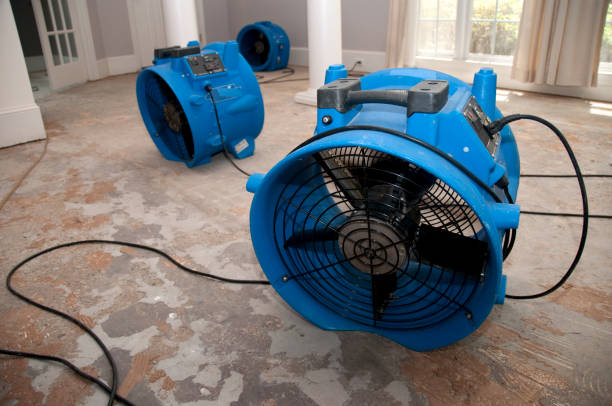 Best Carpet water damage restoration  in South Miami, FL
