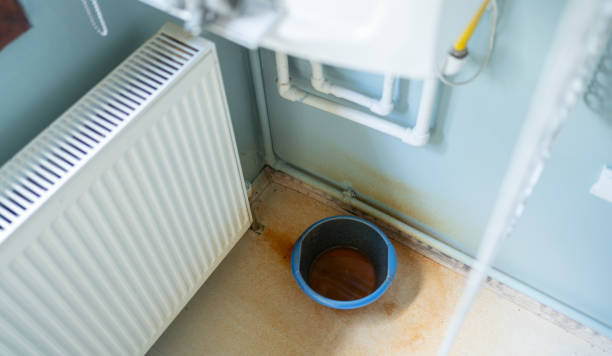 Best Commercial water damage restoration  in South Miami, FL