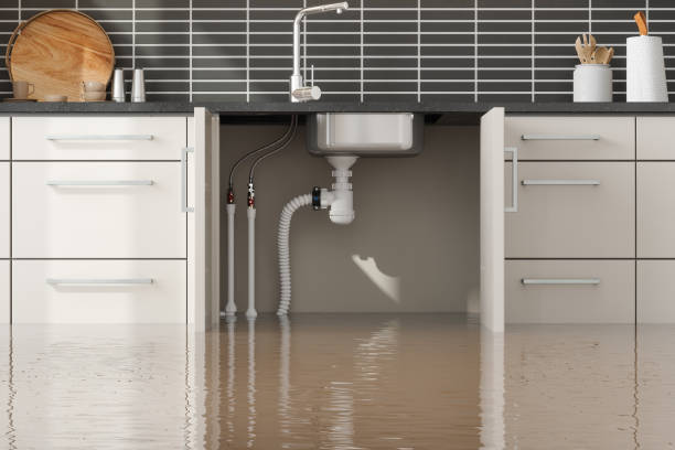 Best Water damage cleanup near me  in South Miami, FL