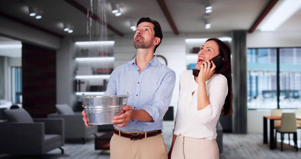  South Miami, FL Water damage restoration Pros