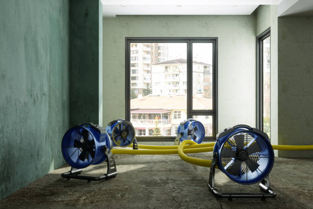 Best Flood damage cleanup  in South Miami, FL